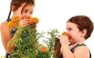 Actividades de jardinería para niños: niños oliendo flores