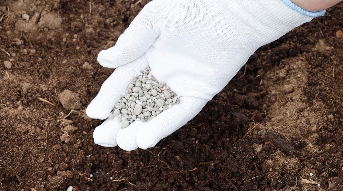 Agregar fertilizante al suelo