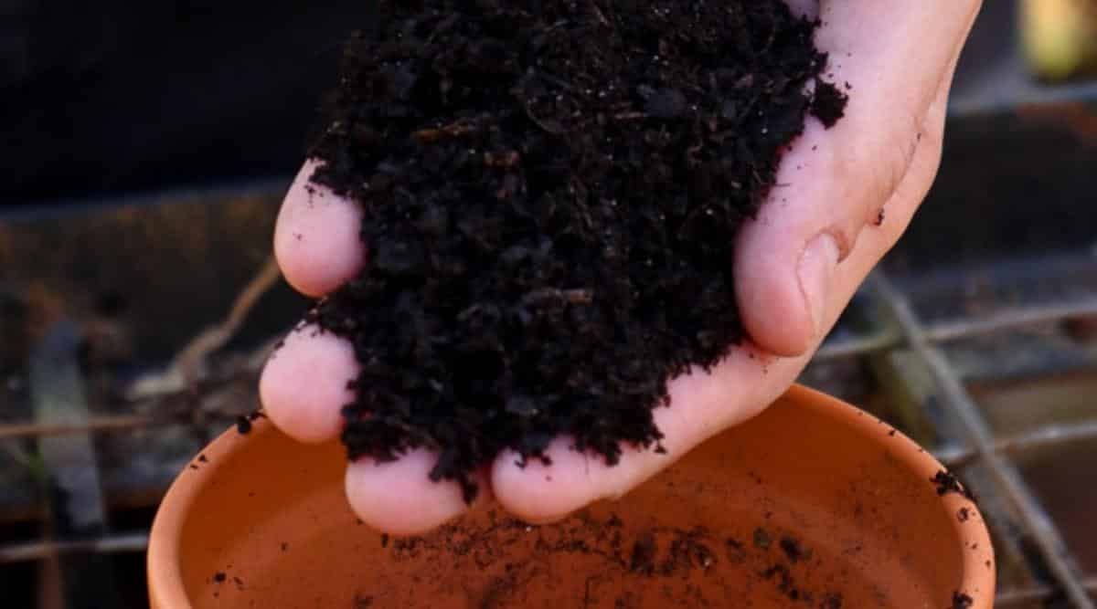 Jardinero preparando mezcla de suelo para propagación