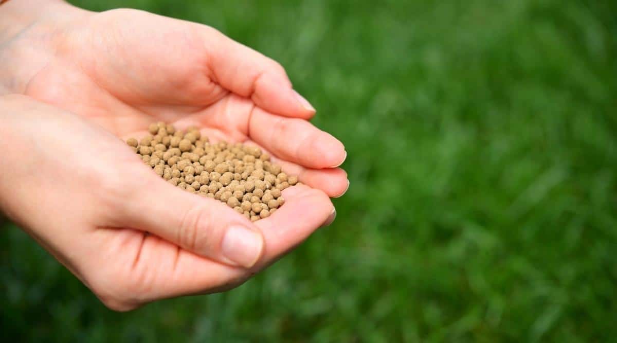 jardinero con fertilizante universal