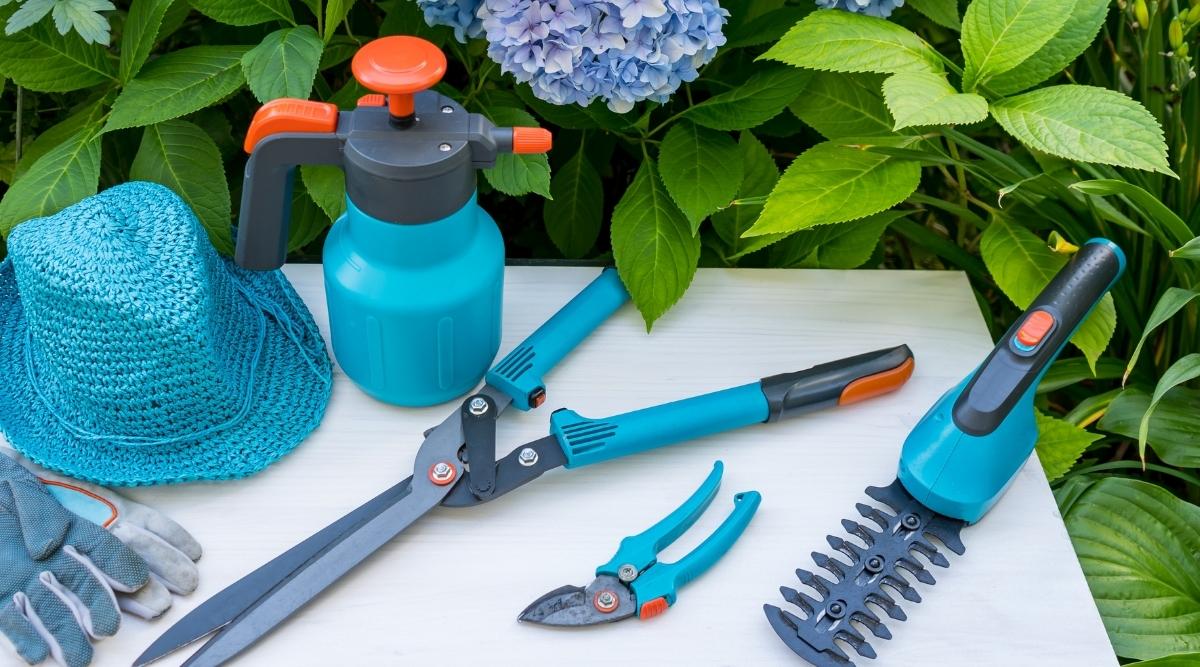 herramientas de jardinería listas para trabajos de poda