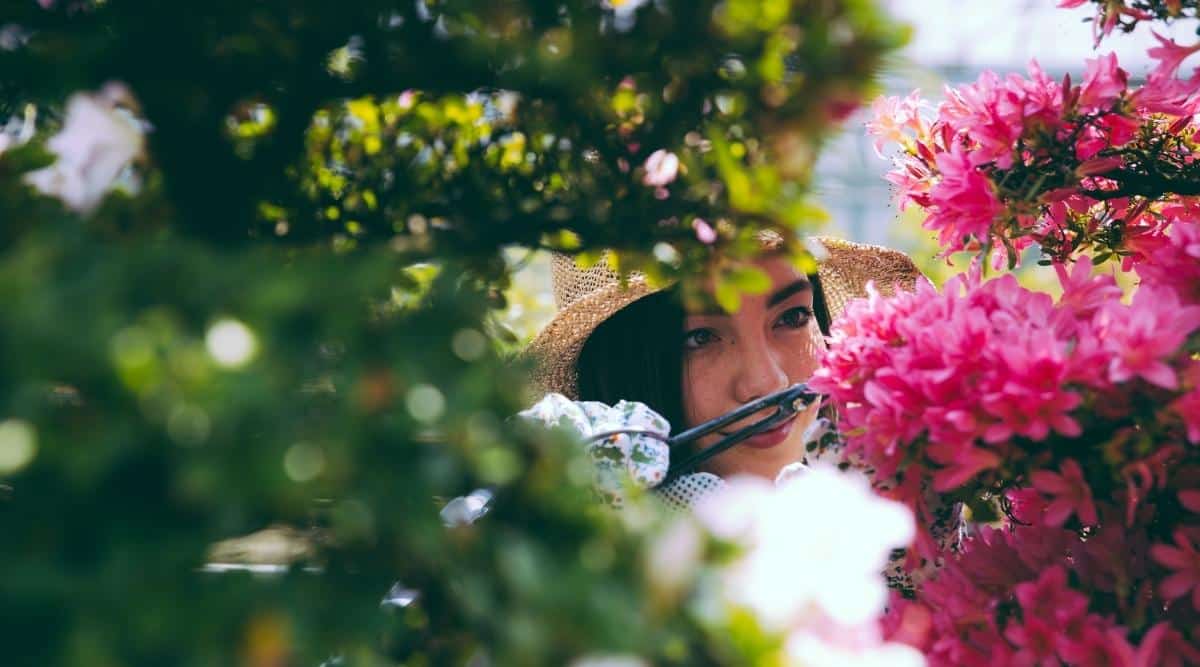 mujer podando rododendros