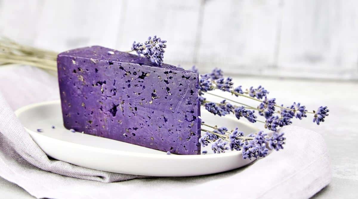 Un trozo de queso de color violeta con albahaca seca y flores de lavanda sobre un plato de cerámica blanca sobre una toalla blanca y una mesa de hormigón.  El queso es de color púrpura oscuro.  Las flores se secan con flores sin abrir.  Contra el fondo gris ligeramente borroso.