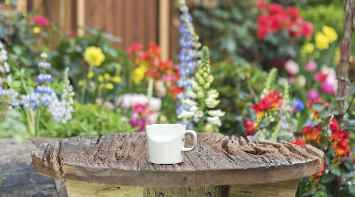 Taza de café sobre una mesa de madera en medio del jardín.  Hay flores de muchos colores diferentes alrededor de la mesa que tiene la copa.  Las flores son rojas, azules, amarillas y rosadas.