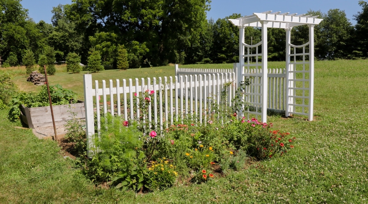Jardín con enrejado y vallas para el cultivo de plantas.  Hay varios tipos diferentes de flores de diferentes colores que crecen en un pequeño jardín cerca de una cerca blanca y un enrejado blanco.