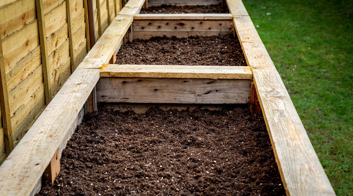 Primer plano de grandes cajas de verduras de madera en un jardín trasero lleno de suelo orgánico fresco listo para plantar semillas y plantas vegetales.