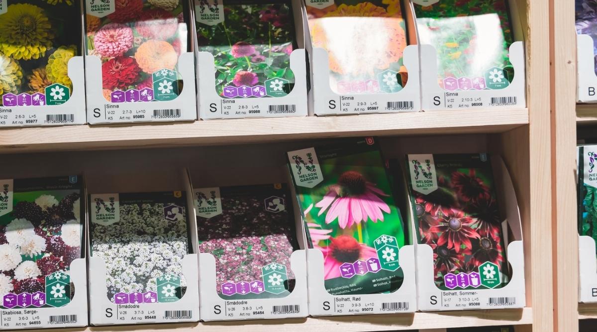 Gran variedad de Flower Seeds en bolsillos de papel que se venden en una tienda de jardinería local.  Bolsillos de papel con semillas de varias variedades de alyssum dulce, equinácea, zinnia y crisantemo están dispuestos en estantes de madera.
