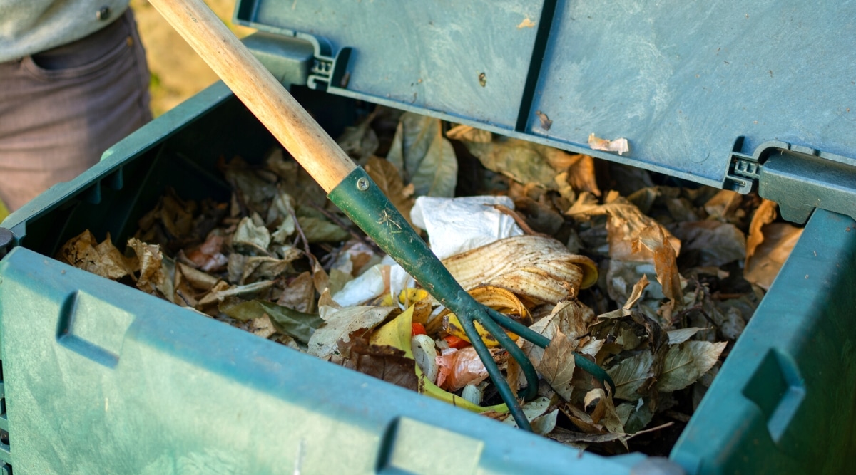 Primer plano de las manos de un joven mezclando desechos orgánicos arrojados a un contenedor de compost en un jardín.  Un cubo de compostaje colocado en el jardín de una casa para reciclar los desechos orgánicos producidos en el hogar para fertilizar el suelo del jardín.