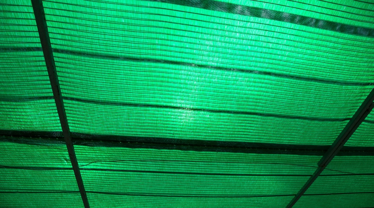 En esta imagen se ve una tela de sombra verde, suspendida sobre las plantas del jardín.  La tela está hecha de un material duradero que filtra la luz solar y protege las plantas del calor excesivo.